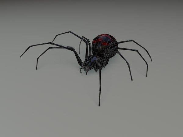 black widow spider 3d model