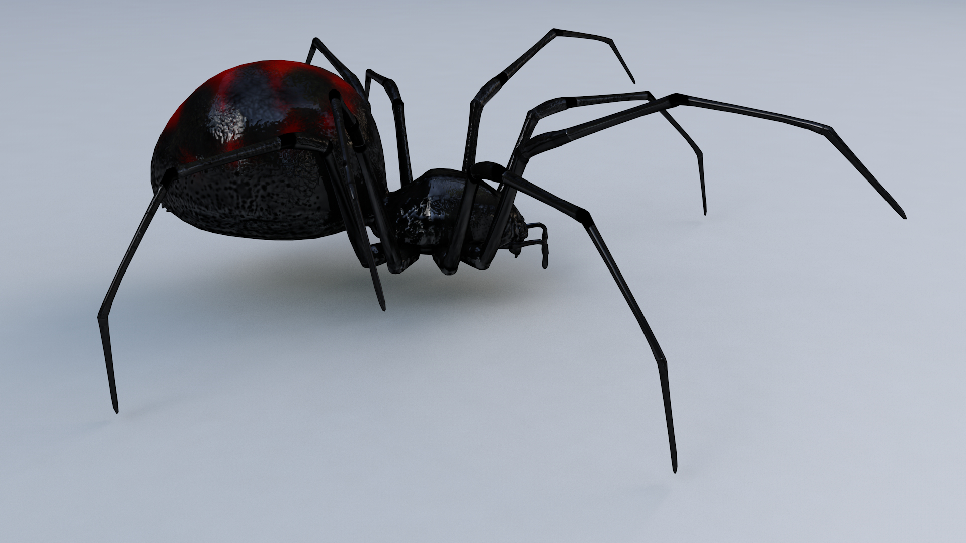 black widow spider 3d model