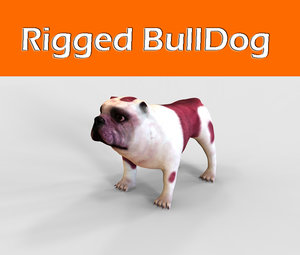 3d model of bulldog rigged