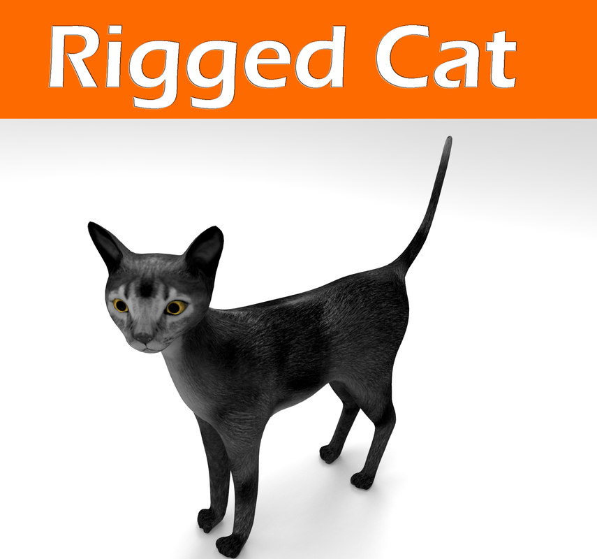  cat  rigged  3d  model 