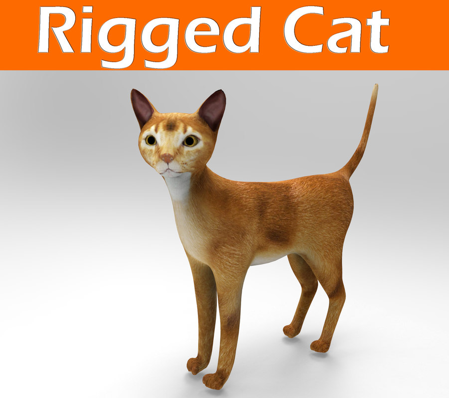 cat rigged 3d model