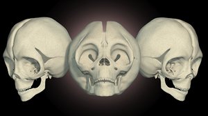 skull alien 3d model