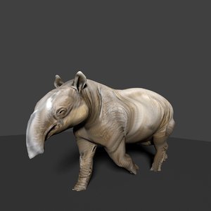 tapir 3d model