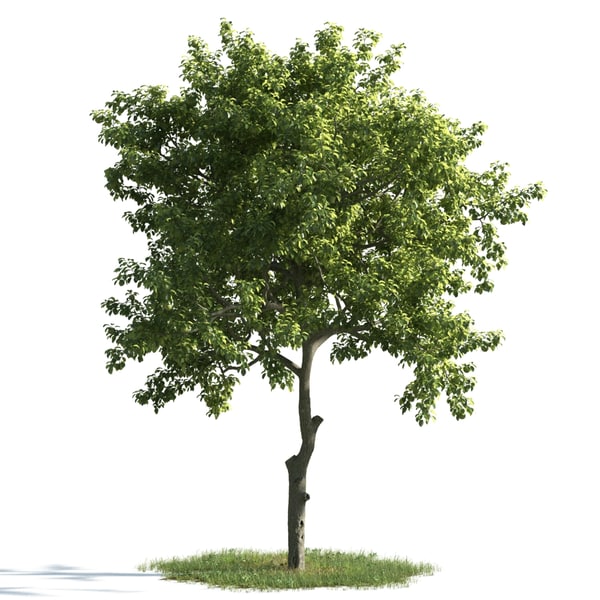 3d archmodels vol 163 trees