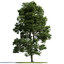 3d archmodels vol 163 trees
