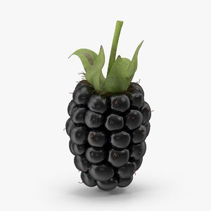 blackberry black berry max