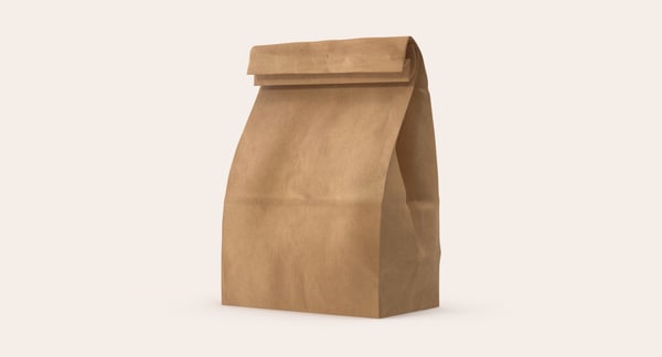 paper bag lunch bag