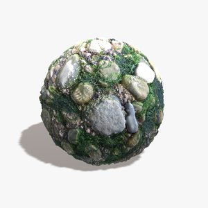 Sea Weed Rocks Texture