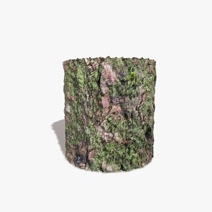 Gnarly Bark Seamless