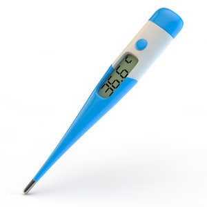 3ds thermometer