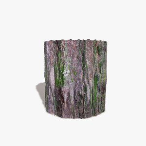Green Mossy Bark Texture
