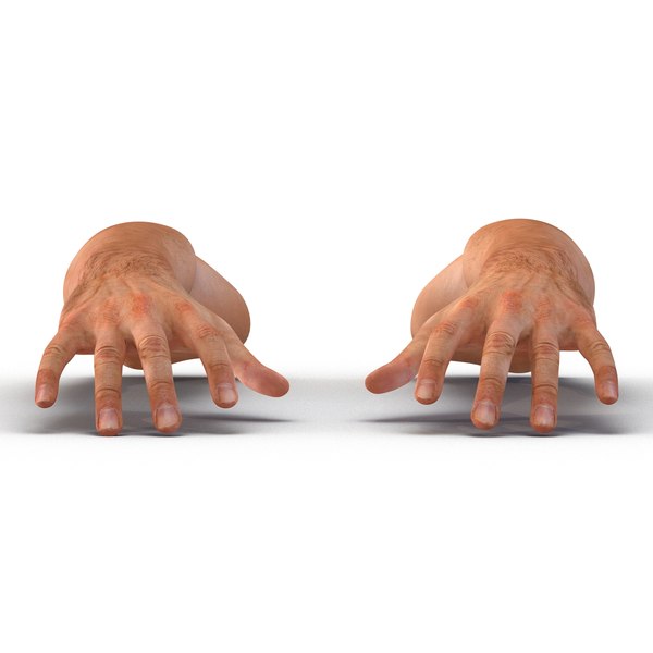 3d man hands model