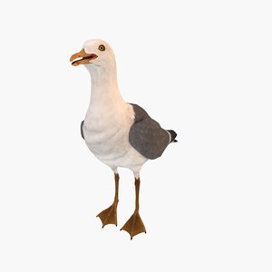 max sea gull
