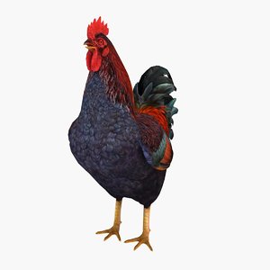 rooster 3d model