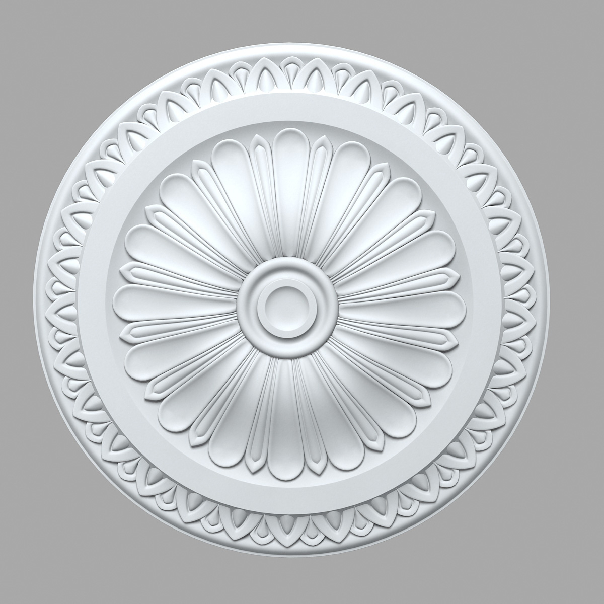 Plaster Rose Ceiling Medallion