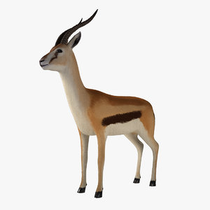 3d thomson gazelle model