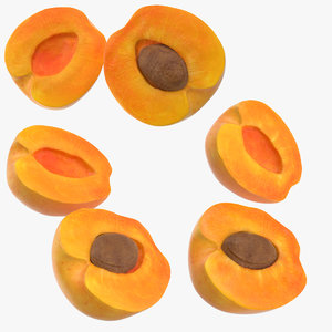 apricot cross sections 3 3d max