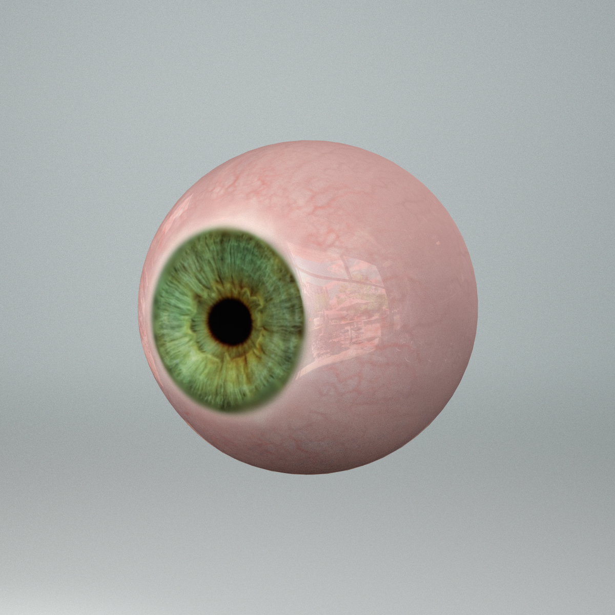 human eye 30 sets 3d 3ds