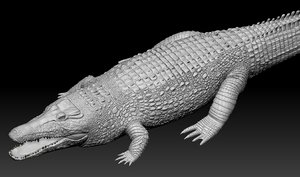 3d realistic crocodile zbrush