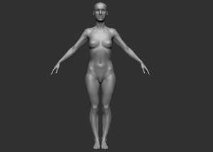 3d female base forms