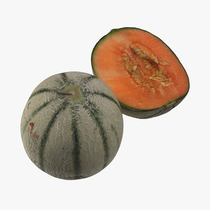 obj photorealistic melon