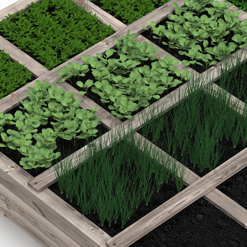 3d vegetable garden