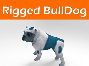 bulldog rigged 3d obj