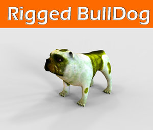 bulldog rigged 3d fbx