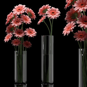3d model gerbera flower vase