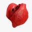 3ds human heart medically accurate