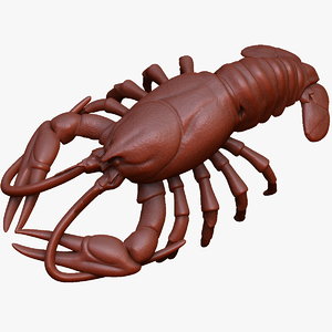 crayfish lobster x