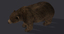 bear fur animation 3d