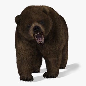Rigged Bear 3d Models For Download Turbosquid