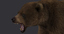 bear fur animation 3d