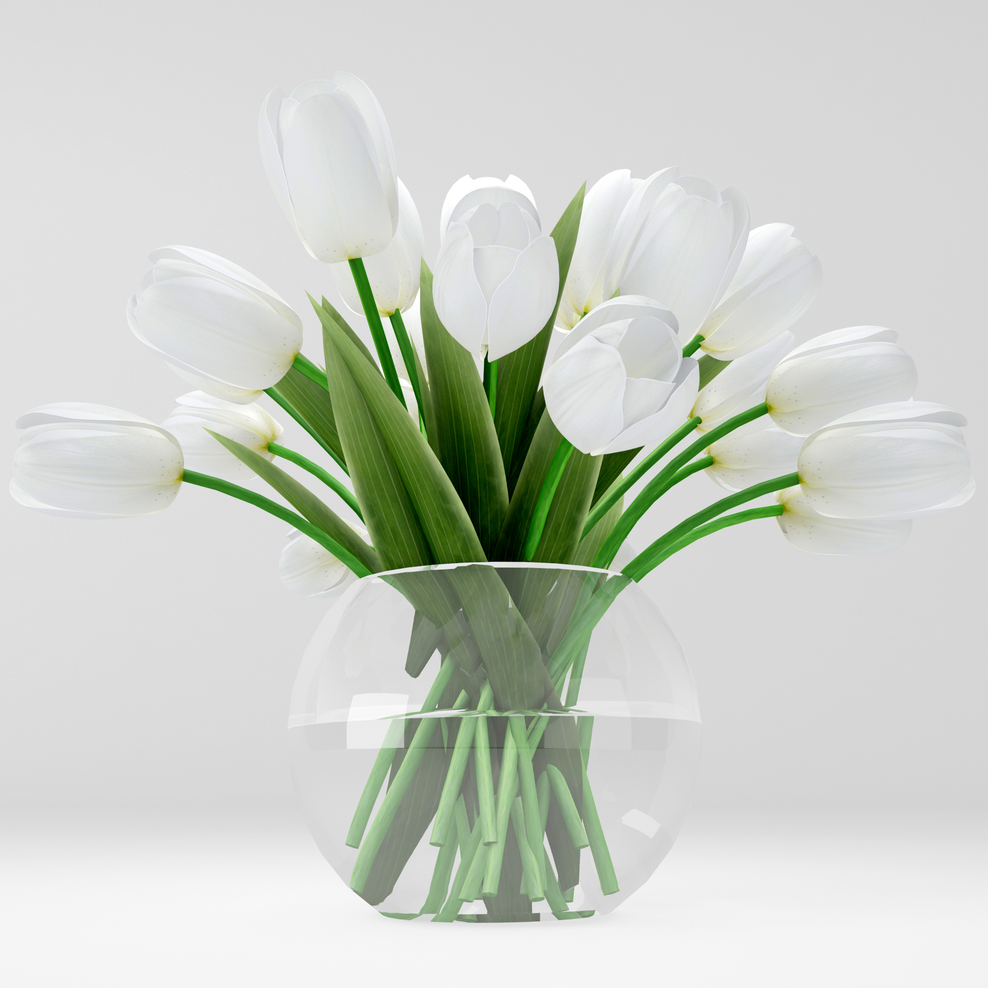 realistic white tulips 3d model