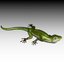 3d model green lizard animation rigged