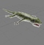 3d model green lizard animation rigged