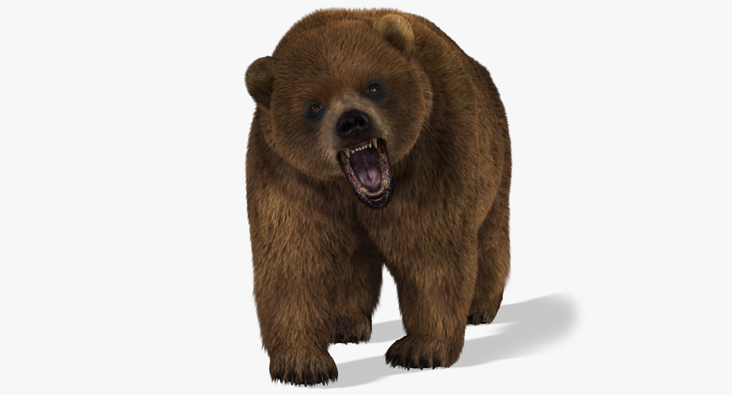 ma bear 2 fur animation