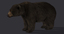bear 2 fur animation ma