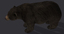 bear 2 fur animation ma