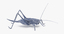 3d standing grasshopper model