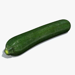 courgette zucchini 3d model