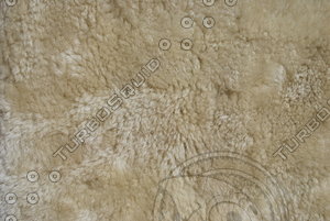 Fur_Texture_0017