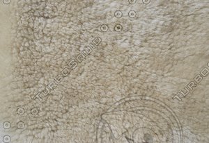 Fur_Texture_0015