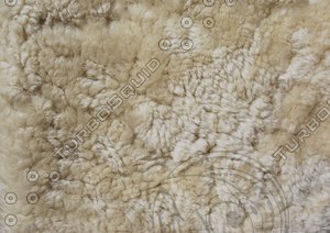 Fur_Texture_0016