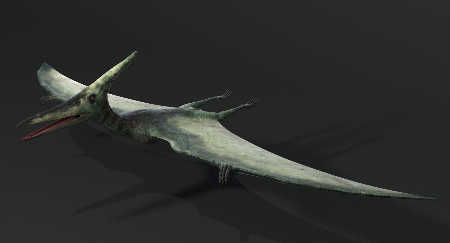 3d model of realistic pteranodon