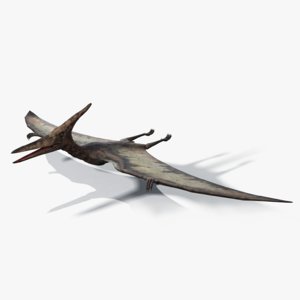 3d model of realistic pteranodon