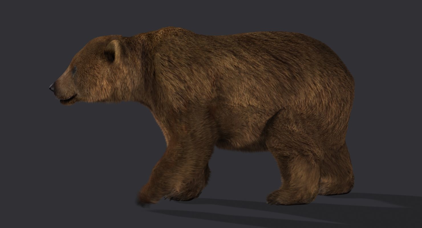 ma bear 2 fur animation