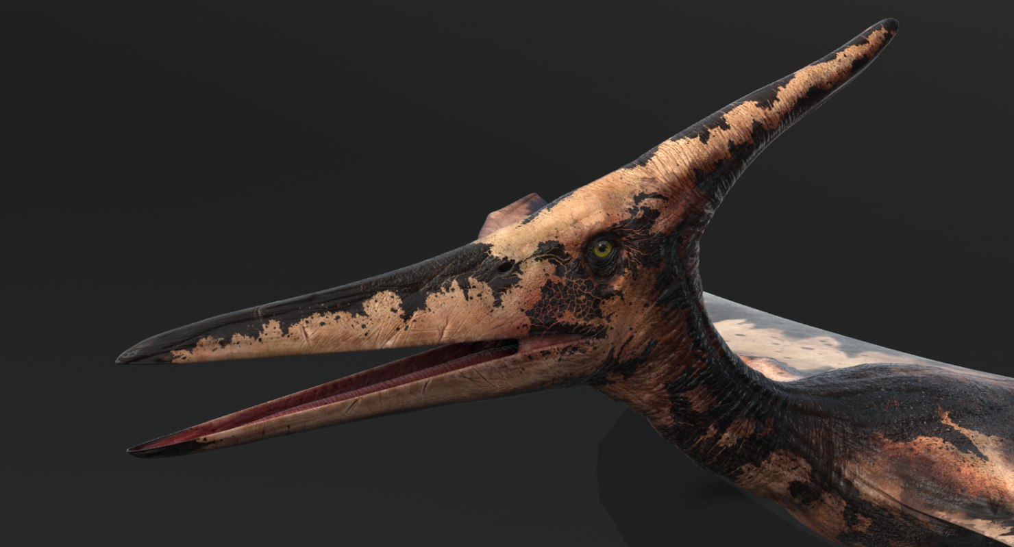 how to model a pterodactyl zbrush