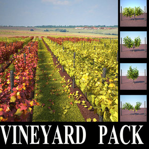 vineyard pack 3d max